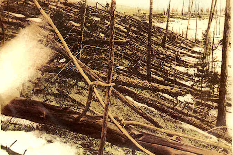 flattened trees of Tunguska